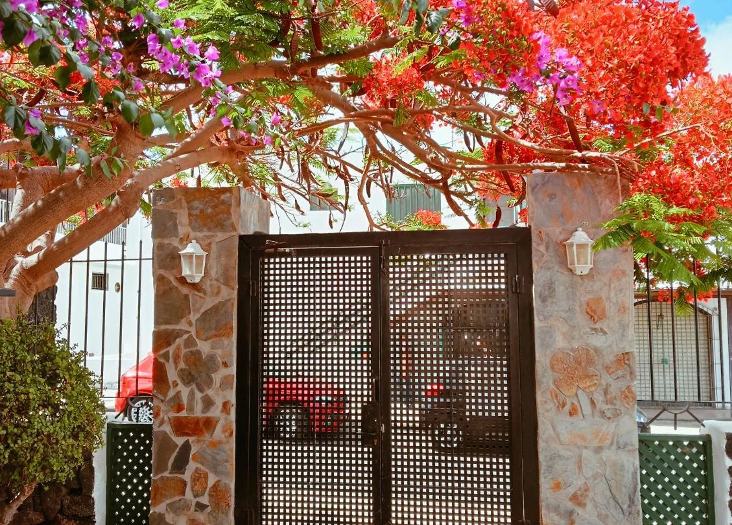 Apartment Apartamentos Las Acacias Puerto del Carmen  Spain